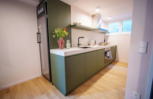 Titisee-Neustadt Apartment | stuub titisee