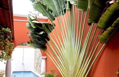 Centro House | Style and luxury in the heart of El Centro