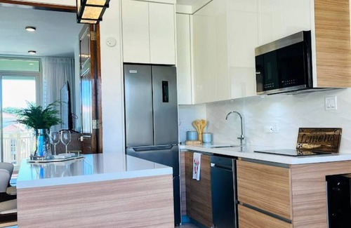 Humacao Apartment | Stylish 1Bed PH with Terrace and Jacuzzi