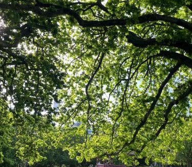 Auckland Central Business District Apartment | Stylish 2BR City Retreat with Cityscape Views, Pool & Gym