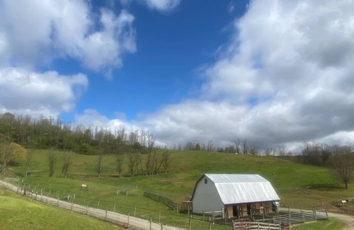 Mouth of Wilson Apartment | Stylish `Barn Loft` near Grayson Highlands