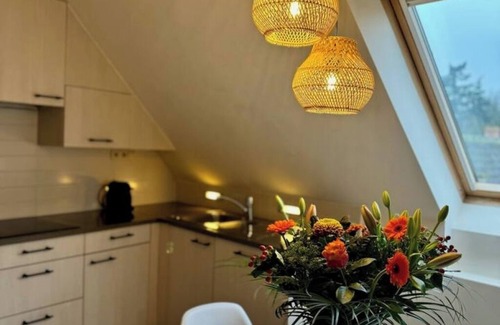 Maldegem Apartment | Stylish loft apartment in the center, facing the park.