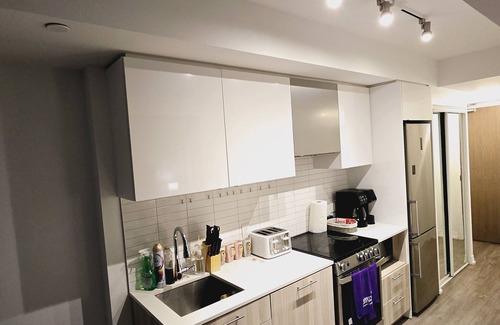 Downtown Toronto Apartment | Stylish luxe Apartment one bedroom with one sofa bed