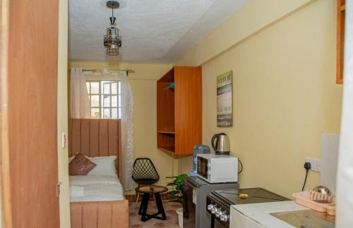Nanyuki Apartment | Stylish Mauve Studio with free WI-FI