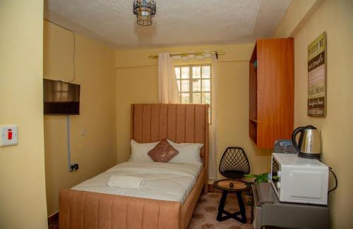 Nanyuki Apartment | Stylish Mauve Studio with free WI-FI