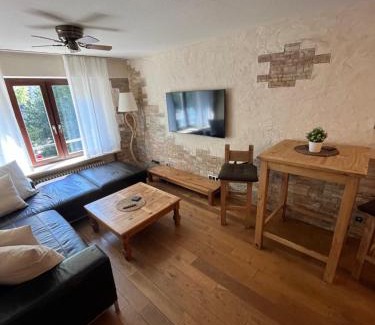 Heidelberg City Centre Apartment | stylish suite OldTown free parking Air Condition