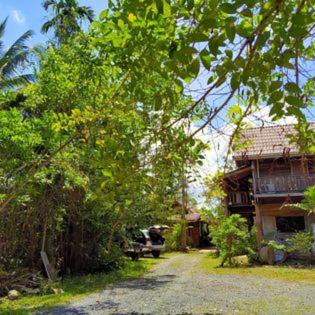 Ban Pa Yang Resort | Suankafae Resort สวนกาแฟรีสอร์ท