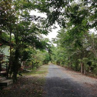 Ban Pa Yang Resort | Suankafae Resort สวนกาแฟรีสอร์ท