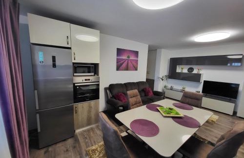 Bistrita Apartment | Subcetate Residence