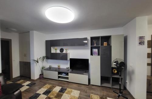 Bistrita Apartment | Subcetate Residence
