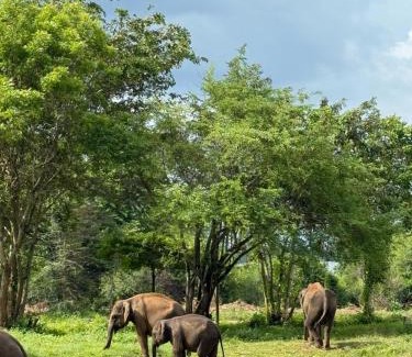 Kirinda House | Suduweli Beauties of Nature - Yala