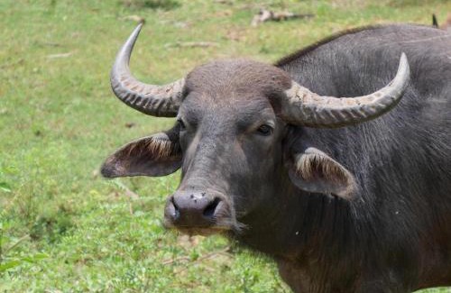 Kirinda House | Suduweli Beauties of Nature - Yala