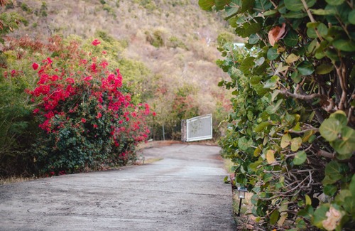 Bordeaux Mountain Villa | Sugarview Villa: Entire Mainhouse + Cottage, Ocean Views