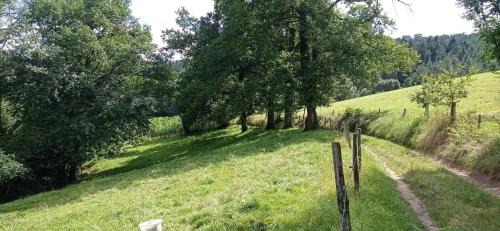 Brullioles Bed & Breakfast | Suite à l'Oasis de Chamousset