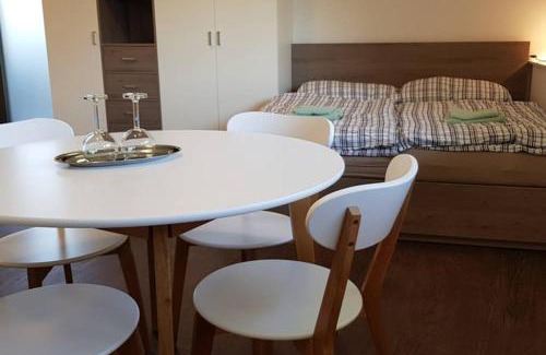 Karlovy Vary Apartment | Suite with back garden