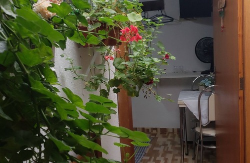 Jardim Andira Hotel | Suites Bela João e Maria