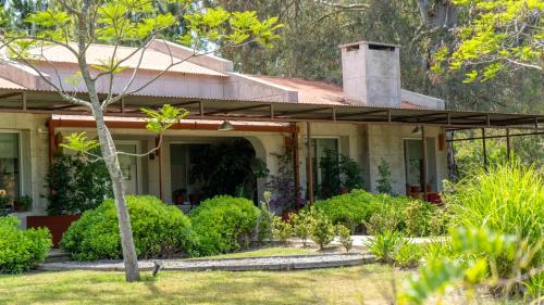 Colonia Estrella Bed & Breakfast | Suites Camacho