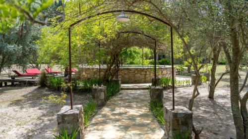 Colonia Estrella Bed & Breakfast | Suites Camacho