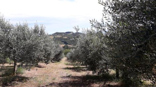 Rivotorto House | Sulla Strada di San Francesco