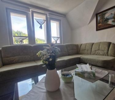 Triberg im Schwarzwald Apartment | Sumeja Residence