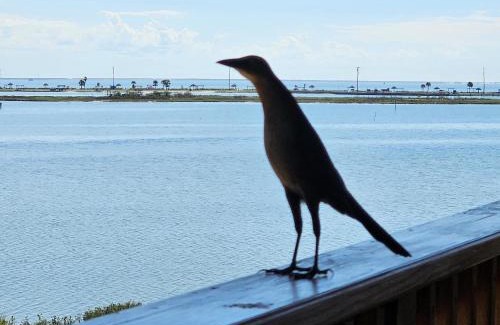 Rockport House | Summer's Little Bay Getaway