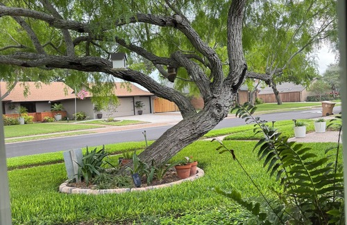 Bay Area House | Summer Space. Private bedroom/shared spacious bathroom @ "Casa de Conchis"