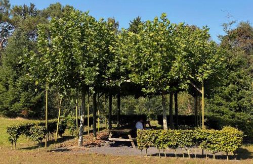 Hoeven Resort | Summio Bosparc de Hoevenaer