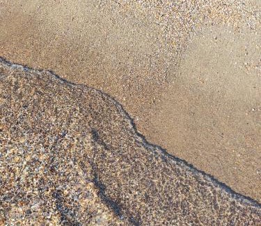 Focene House | Sun and Sand Focene