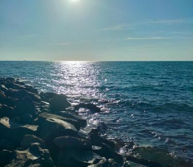 Focene House | Sun and Sand Focene