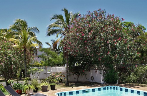Pointe aux Canonniers Villa | SUN VILLA BY IMMOCLAIR BEACH AT 5 mn by feet