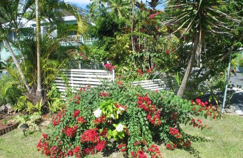 Arorangi Resort | Sunhaven Beach Bungalows
