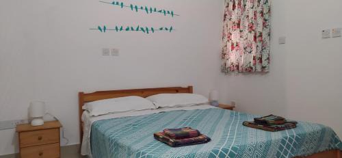 San Tumas House | Sunlight house