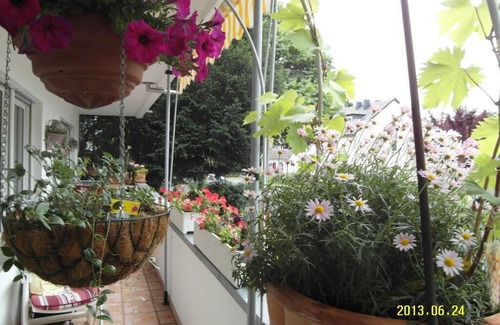 Rungsdorf Condo | Sunny apartment with garden view and south-west balcony