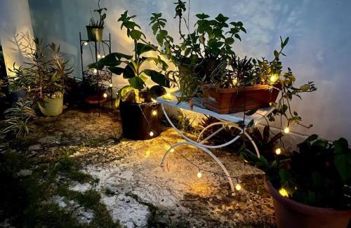 Cangrejo Arriba Apartment | Sunny breeze 2 bed apt airport and beaches are close