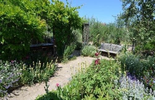 Gatteo a Mare Apartment | Sunny Coastal Apartment