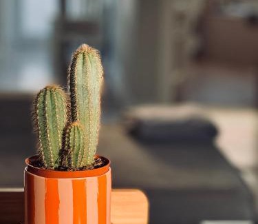 Karlikowo Apartment | Sunny House of Aries