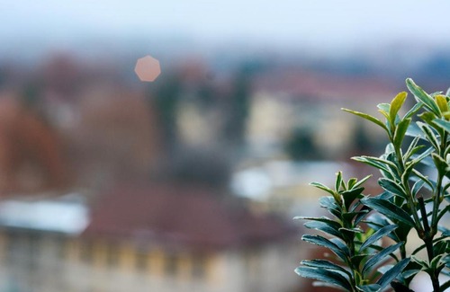 Santa Rita Apartment | SUNNY SIDE I Turin Suite