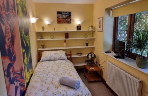 Pill Apartment | Sunnyside