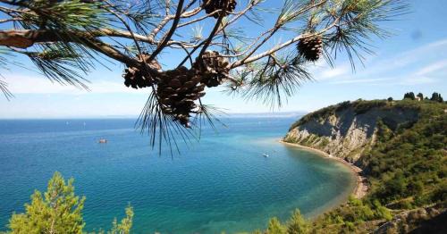 Muggia House | SunSeaPoolsideStudio CasaSolare VistaMare