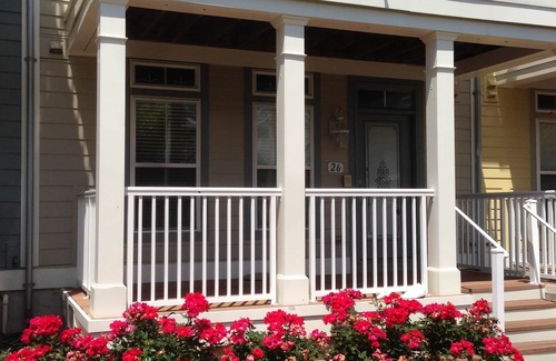 Sunset Island House | Sunset Island 26 Canal Side - 1pm Check-in, 75” TV, 8 beach chairs, 8 boards.