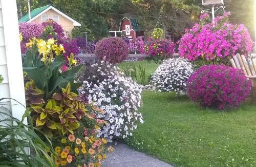 St Ignace Hotel | Sunset Motel at Armand's Gardens