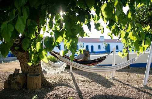 Sousel House | Sunset Yellow Villa, Wifi, Terrace, Swimming Pool