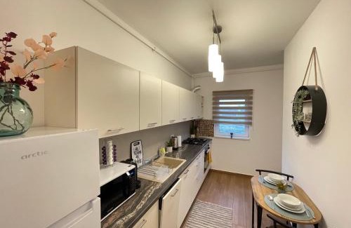 Timisoara Apartment | SunVista by Cristian