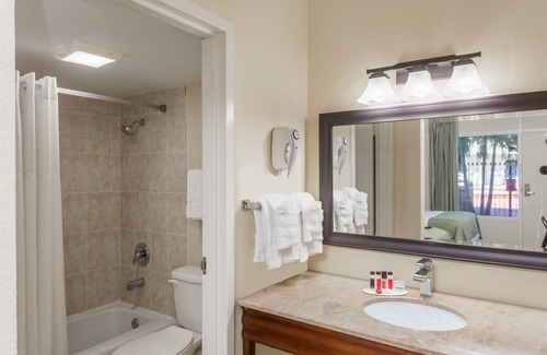 St. Petersburg - Clearwater Hotel | Super 8 by Wyndham St. Petersburg