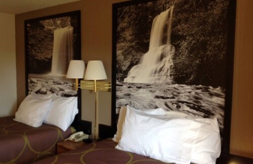 Winchester Hotel | Super 8 by Wyndham Winchester VA