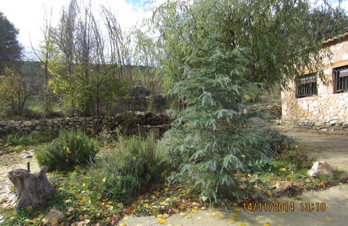 Gea de Albarracin Cottage | SUPER MASIA IN THE MIDDLE OF THE FIELD