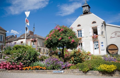 Hautvillers Apartment | Superb "Chardonnay" studio overlooking the valley