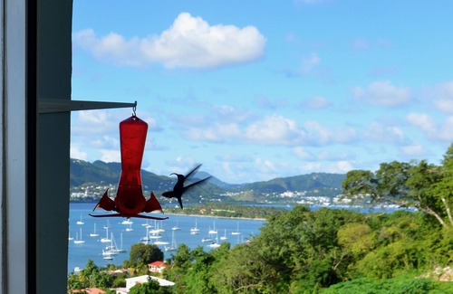 Sainte-Anne Apartment | Superb T2 with panoramic terrace overlooking the sea, swimming pool, close to beaches