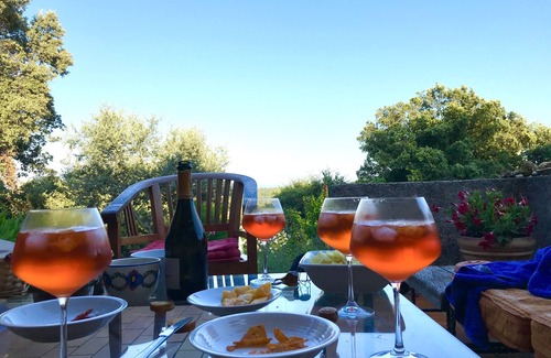 Saint-Paul-en-Foret Villa | Superb villa/property with swimming pool - Var, Provence, Côte d'Azur - 8 people