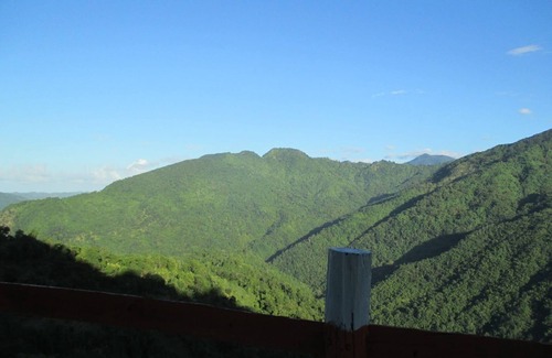 Blue Mountains National Park RV Rental | Surrounded by the forest is the Ohyo 3-Person Tent